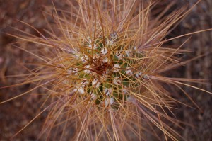 Abs 08_00007